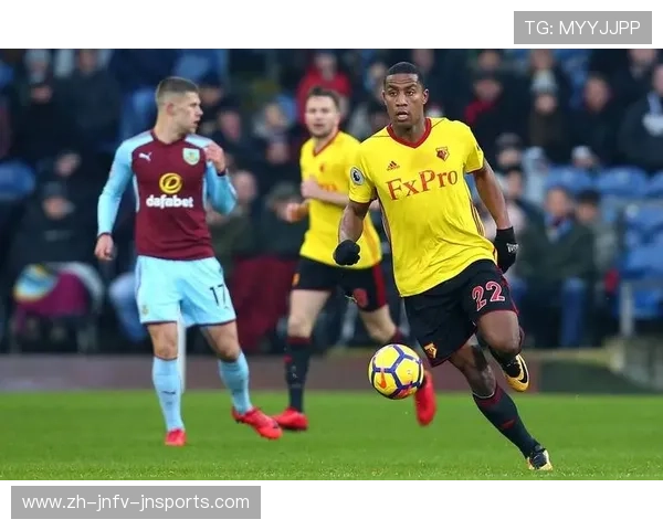 英超球队沃：沃特福德足球俱乐部在英超联赛的表现