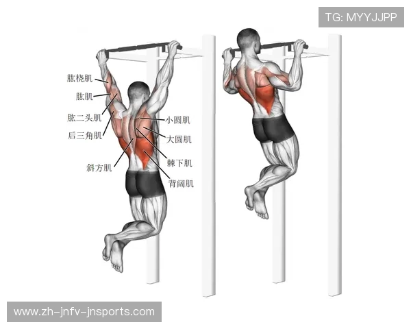 健身器材high pull动作介绍与发力要点分析